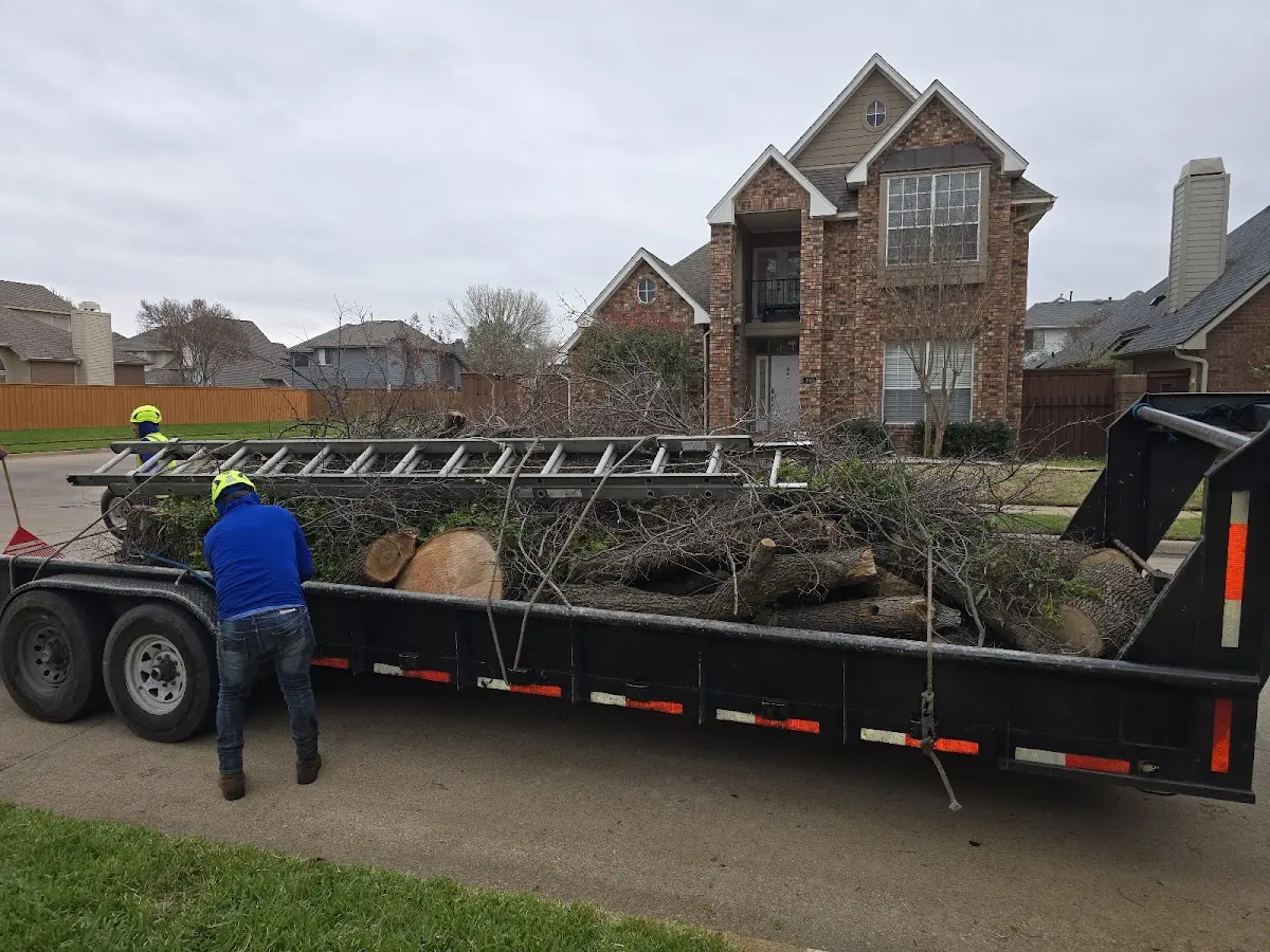 Expert Tree Fertilization with proper safety equipment in New Ellenton